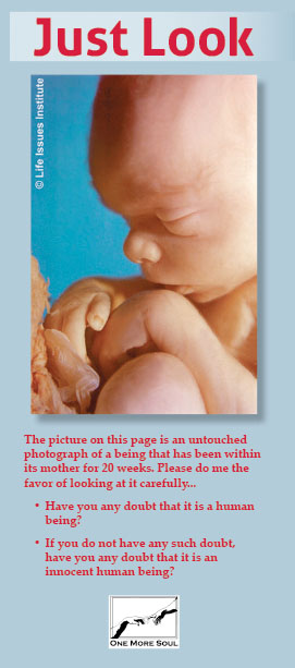 Cardinal Egan presents a beautiful picture of an unborn, 20 week old baby and challenges the viewer to see what is plainly displayed.